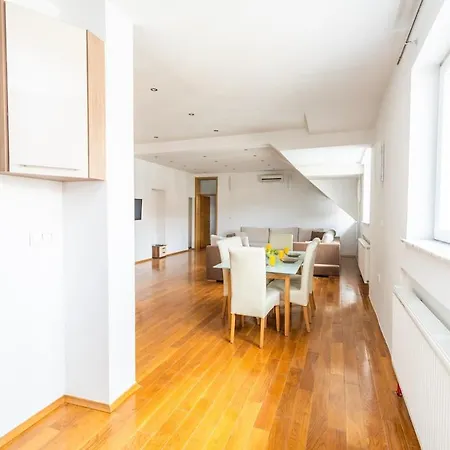 Spacious In Downtown Apartment