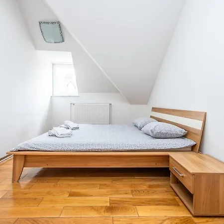 Apartment Spacious In Downtown *