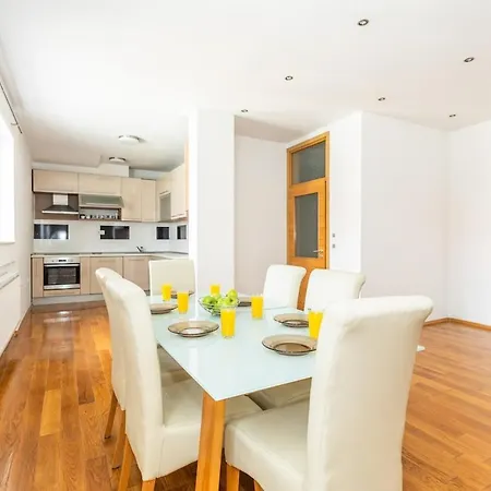Apartment Spacious In Downtown