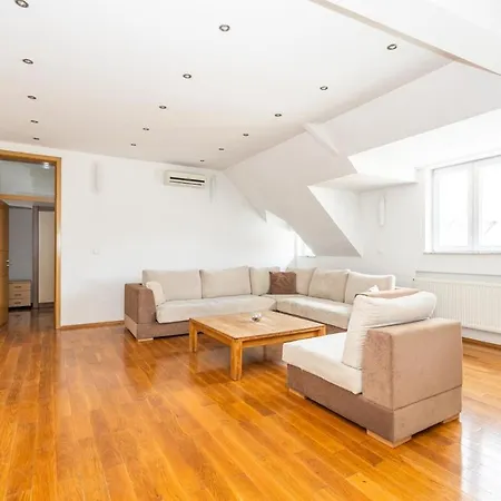 Spacious In Downtown *